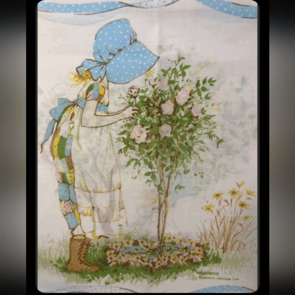 Vintage American Greetings Holly Hobbie Set of 2 Standard Pillow cases
